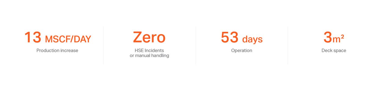 Case Study Data Illustration Immortelle