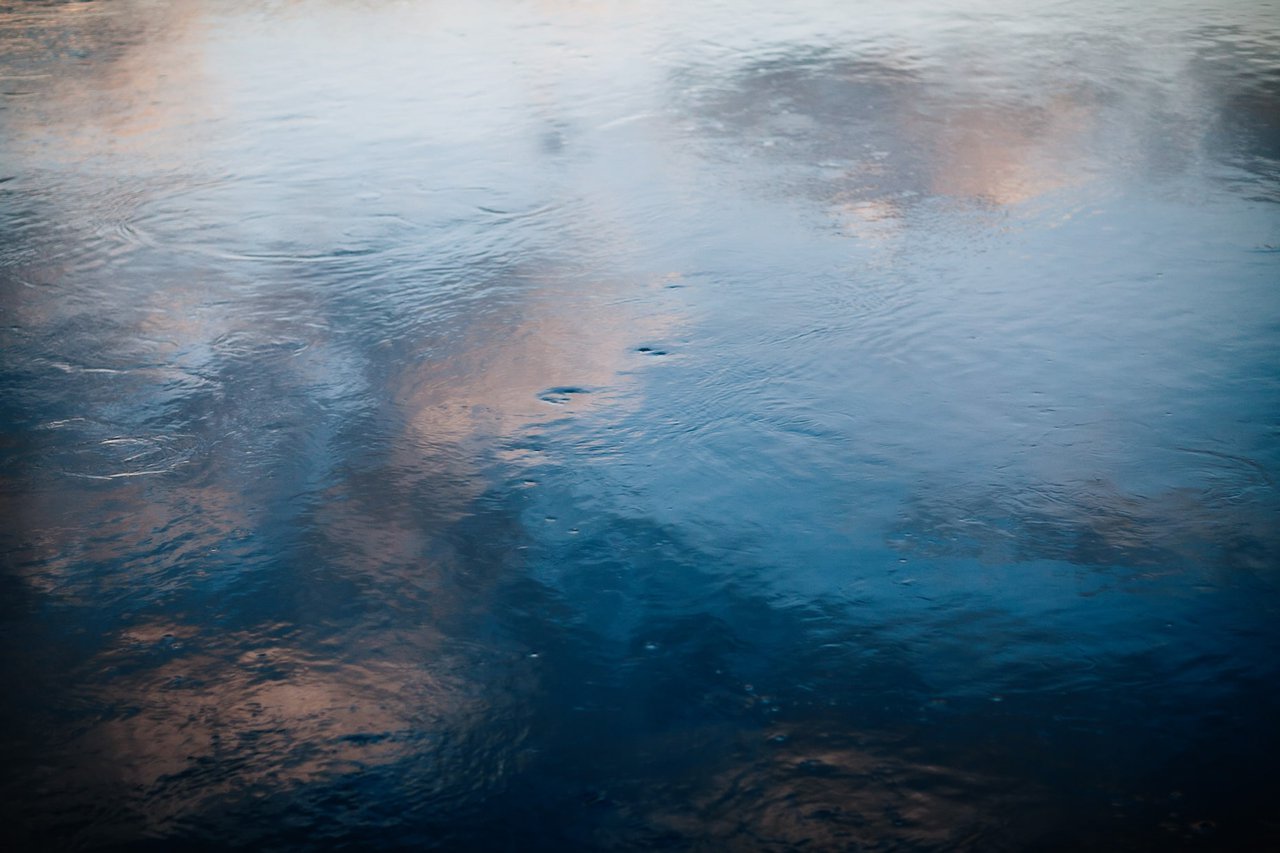 Fourphase Nature 20121128 007 021248