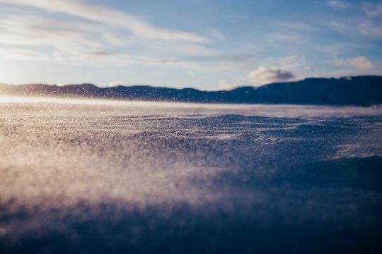 Fourphase Nature 20160226 014