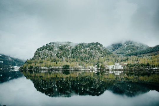 Fourphase Nature 20200501 033