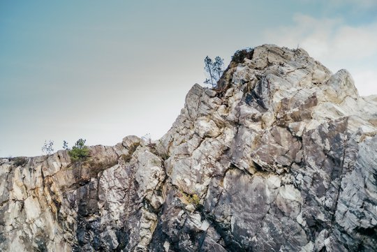 Fourphase Nature 20210923 035 852232